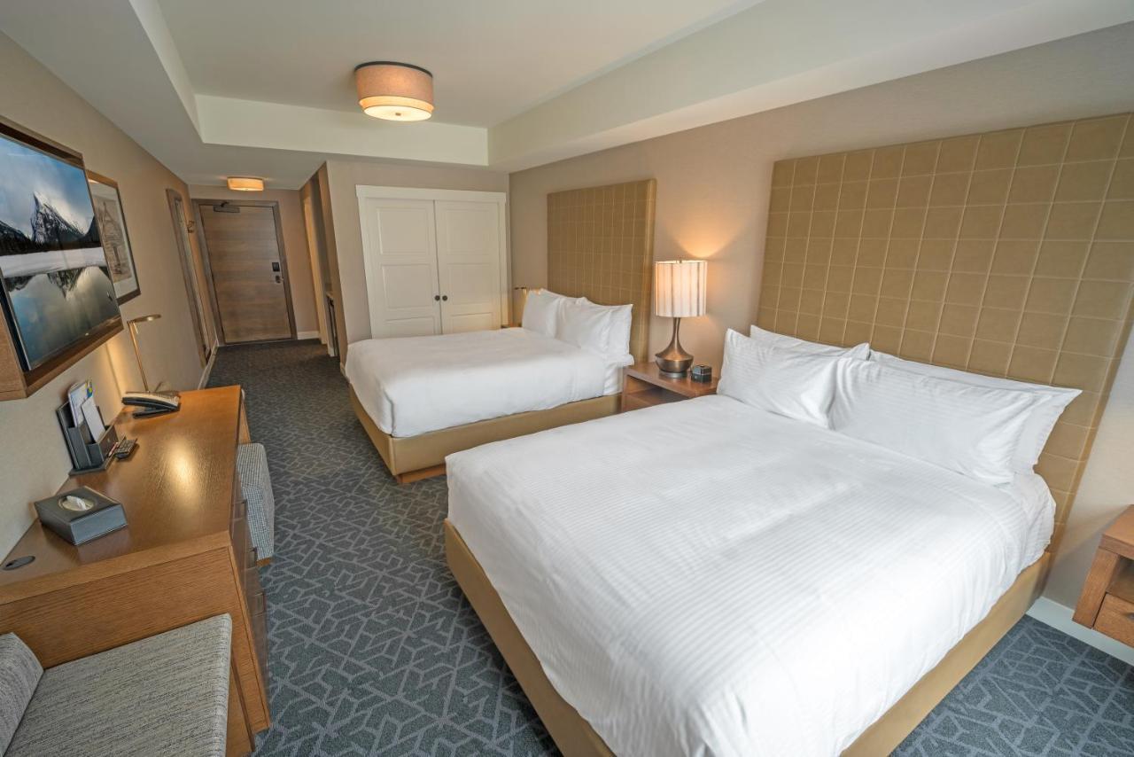 Standard Queen Room Two Queen Beds,749766881:JPEG